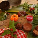 microbiome and menopause connection for women's health