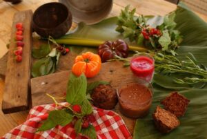 microbiome and menopause connection for women's health