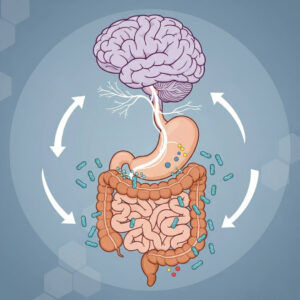 Gut-brain axis connection showing how gut microbiome affects mood and mental health