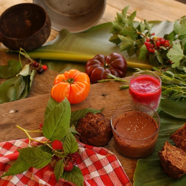 microbiome and menopause connection for women's health